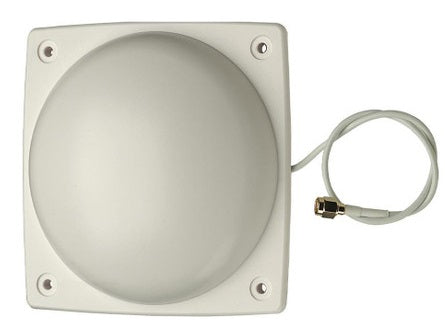 Intellinet Dual